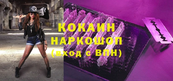 шишки Рославль