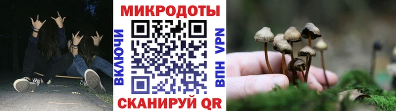 Галлюциногенные грибы GOLDEN TEACHER  как найти наркотики  Саянск 